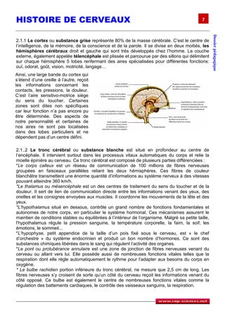 HISTOIRE DE CERVEAUX                                                                            7




                                                                                                       Dossier pédagogique
2.1.1 Le cortex ou substance grise représente 80% de la masse cérébrale. C’est le centre de
l’intelligence, de la mémoire, de la conscience et de la parole. Il se divise en deux moitiés, les
hémisphères cérébraux droit et gauche qui sont très développés chez l’homme. La couche
externe, également appelée télencéphale est plissée et parcourue par des sillons qui délimitent
sur chaque hémisphère 5 lobes renfermant des aires spécialisées pour différentes fonctions:
ouï, odorat, goût, vision, motricité, langage…
Ainsi, une large bande du cortex qui
s’étend d’une oreille à l’autre, reçoit
les informations concernant les
contacts, les pressions, la douleur.
C’est l’aire sensitivo-motrice siège
du sens du toucher. Certaines
zones sont dites non spécifiques
car leur fonction n’a pas encore pu
être déterminée. Des aspects de
notre personnalité et certaines de
nos aires ne sont pas localisées
dans des lobes particuliers et ne
dépendent pas d’un centre défini.

2.1..2 Le tronc cérébral ou substance blanche est situé en profondeur au centre de
l’encéphale. Il intervient surtout dans les processus vitaux automatiques du corps et relie la
moelle épinière au cerveau. Ce tronc cérébral est composé de plusieurs parties différenciées :
*Le corps calleux est un réseau de communication de 100 millions de fibres nerveuses
groupées en faisceaux parallèles reliant les deux hémisphères. Ces fibres de couleur
blanchâtre transmettent une énorme quantité d’informations au système nerveux à des vitesses
pouvant atteindre 360 km/h.
*Le thalamus ou mésencéphale est un des centres de traitement du sens du toucher et de la
douleur. Il sert de lien de communication directe entre les informations venant des yeux, des
oreilles et les consignes envoyées aux muscles. Il coordonne les mouvements de la tête et des
yeux.
*L'hypothalamus situé en dessous, contrôle un grand nombre de fonctions fondamentales et
autonomes de notre corps, en particulier le système hormonal. Ces mécanismes assurent le
maintien de conditions stables ou équilibrées à l’intérieur de l’organisme. Malgré sa petite taille,
l'hypothalamus régule la pression sanguine, la température corporelle, la faim, la soif, les
émotions, le sommeil...
*L'hypophyse, petit appendice de la taille d’un pois fixé sous le cerveau, est « le chef
d’orchestre » du système endocrinien et produit un bon nombre d’hormones. Ce sont des
substances chimiques libérées dans le sang qui régulent l’activité des organes.
*Le pont ou protubérance annulaire est une zone de jonction de fibres nerveuses venant du
cerveau ou allant vers lui. Elle possède aussi de nombreuses fonctions vitales telles que la
respiration dont elle règle automatiquement le rythme pour l’adapter aux besoins du corps en
oxygène.
* Le bulbe rachidien portion inférieure du tronc cérébral, ne mesure que 2,5 cm de long. Les
fibres nerveuses s’y croisent de sorte qu’un côté du cerveau reçoit les informations venant du
côté opposé. Ce bulbe est également le centre de nombreuses fonctions vitales comme la
régulation des battements cardiaques, le contrôle des vaisseaux sanguins, la respiration.
 
