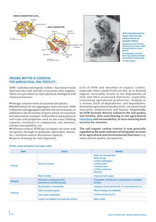 Carbon in drylans soils—Multiple essential functions10
ORGANIC MATTER IS ESSENTIAL
FOR AGRICULTURAL SOIL FERTILITY…
SOM—and thus soil organic carbon—has many crucial
functions for soils and the ecosystems they support.
These are provided via their physical, biological and
chemical features:
 Storage and provision of nutrients for plants.
 Stabilization of soil aggregates and structure. SOM
influences soil aggregates and thus the soil structure, in
addition to the formation of pores which are essential
for water and air transport. It thus affects many physical
soil traits and properties such as the water holding
capacity, resistance to compaction, soil aeration,
erosion susceptibility, etc.
Pollution control: SOM has an impact on water and
air quality through its pollutant (pesticides, metals,
etc.) retention and/or desorption capacity.
 Source of energy for soil organisms.
Loss of SOM and therefore of organic carbon,
especially when initial levels are low, as in dryland
regions, invariably results in the degradation of
soils and their associated functions—especially
concerning agricultural production—leading to
a vicious circle of degradation: soil degradation,
decreased agricultural productivity, increased food
insecurity, malnutrition and famine. Conversely,
an SOM increase directly enhances the soil quality
and fertility, thus contributing to the agricultural
resilience and sustainability, in turn ensuring food
security for societies.
The soil organic carbon content is now generally
regarded as the main indicator of soil quality in terms
of its agricultural and environmental functions (e.g.
water and air quality, see opposite).
 Roles, actions and beneﬁts of soil organic matter.
Roles Actions Beneﬁts
Physical
Structure, porosity
- Water and air penetration
- Water storage
- Limiting waterlogging
- Limiting runoff
- Limiting erosion
- Limiting compaction
- Warming
Water retention - Improved water supply
Biological
Stimulation of biological activity
(earthworms, microbial biomass)
- Degradation, mineralization, reorganization, humiﬁcation
- Aeration
Chemical
Decomposition, mineralization - Supplying mineral elements (N, P, K, trace elements, etc.)
Cation exchange capacity - Mineral storage and availability
Trace metal complexation - Limiting toxicity (e.g. Cu)
Organic micropollutant and pesticide retention - Water quality
sand
fungus
plant debris
debris
clay
bacteria ‘Amorphous’
OM
organo-clay
complex
fungus
ﬁlament
UNDER A MAGNIFYING GLASS...
...AND A MICROSCOPE
0.1 mm
0.01 mm
 The association between
organic carbon and clay
particles ensures soil
aggregate cohesion.
The diagram on the left shows
different forms of organic matter
associated with soil mineral
particles.
The photograph on the right
shows clay particles associated
with amorphous organic matter.
© Chenu & Plante
 