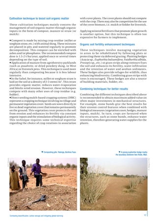 17Combating desertification, carbon storage and mitigating global warming
Cultivation technique to boost soil organic matter
These cultivation techniques mainly concern the
management of soil organic matter through organic
inputs in the form of compost, manure or straw (or
mulch):
 Compost is made by mixing crop residue (millet or
sorghum straw, etc.) with animal dung. These mixtures
are placed in pits and watered regularly to promote
decomposition. This compost can be enriched with
ashes and/or phosphates. The recommended compost
dose is 1.5-2 t/ha/year, applied once or several times
depending on the type of soil.
Application of manure from agroforestry parklands
(such as poudrette, or dried powdery dung, in West
Africa) or livestock pens. This technique is used more
regularly than composting because it is less labour
intensive.
In the Sahel, for instance, millet or sorghum straw is
laid on the soil at a density of 2-3 stems/m2
. This straw
provides organic matter, reduces water evaporation
and blocks wind erosion. However, these techniques
compete with many other uses of crop residue (e.g.
fodder).
Direct seeding mulch-based cropping systems (DMC)
represent a cropping technique involving no tillage and
permanent vegetation cover. Seeds are sown directly in
live or dead vegetation cover that remains permanently
on the ground. This vegetation cover protects the soil
from erosion and enhances its fertility via constant
organic inputs and the stimulation of biological activity.
This technique requires some technical expertise
regarding the choice of crop rotations in association
with cover plants. The cover plants should not compete
with the crop. There may also be competition for the use
of the cover biomass, i.e. mulch or fodder for livestock.
Applying mineral fertilizers that promote plant growth
is another option, but this technique is often too
expensive for farmers to implement.
Organic soil fertility enhancement techniques
These techniques involve managing vegetation
in areas to be rehabilitated by fallowing plots or
protecting them via deferred grazing. Planting hedges
(Acacia sp., Euphorbia balsamifera, Faidherbia albida,
Prosopis sp., etc.) or grass strips along contours fixes
the soil and enhances its fertility, water infiltration
and the retention of water and aeolian sediments.
These hedges also provide refuges for wildlife, thus
enhancing biodiversity. Combining grass strips with
trees is encouraged. These hedges are also a source
of building materials, fodder, etc.
Combining techniques for better results
Combining the different techniques described above
is recommended to obtain maximum added value on
often major investments in mechanical structures.
For example, stone bunds give the best results for
their erosion control features when combined with
biological measures (vegetation cover, hedges, manure
inputs, mulch). In turn, crops are favoured when
the structures, such as stone bunds, enhance water
retention, therefore generating water supplies for the
plants.
©D.Masse
H.Maïga©IRD
 Composting pits. Yatenga, Burkina Faso.  A young euphorbia hedge marks
the boundary between two fields. Mali.
 