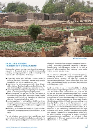 19Combating desertification, carbon storage and mitigating global warming
SIX RULES FOR RESTORING
THE PRODUCTIVITY OF DEGRADED LAND
It is possible within a few years to restore the production
capacity of degraded land to a sufficient depth by
planting multipurpose trees and complying with
certain rules (Roose et al., 2011), by:
 capturing runoff with a system that is tailored to
the characteristics of the site: hedges, stone bunds,
mulching, zaï, micro-catchments, etc.
 recreating the soil macroporosity by deep tillage,
at least along the planting line, and stabilizing the
soil structure by burying organic matter or lime
 reviving the topsoil by adding compost, manure,
plant litter and growing creeping legumes
 correcting the soil pH to alleviate aluminium
toxicity in very acidic soils (by adding ashes, various
residues, mulch) while not reducing the solubility
of trace elements in alkaline soils
 nurturing plants by adding bioavailable nutrients
(organic matter, manure, plant litter, or via burning)
while adding carefully dosed mineral supplements
to meet plant needs
 choosing plants that are adapted to local users’
needs and to the environmental conditions in the
area.
The introduction of exotic species (grass, forage, fruit
or forest species) should be carefully thought out. For
this latter category, seed purchases are essential, but
the seeds should be from many different seed sources.
Priority must nevertheless be give to local seeds to
benefit from their high genetic diversity, which is
generally a better option than planting exotic seeds
with a narrow genetic base.
In the absence of seeds, very low cost (layering,
suckering induction) or slightly higher cost (root
cuttings, stem cuttings, air layering) vegetative
propagation techniques are recommended, provided
thatahighnumberofgenotypesareused(Bellefontaine
& Malagnoux, 2008).
Each (re-)introduced species should be carefully
chosen according to the preferences of local people
and the environmental conditions (soil, climate). In
nurseries, modern plant management techniques
should be used (grooved rigid small pots placed above
ground, optimization of consistent aerated substrates,
fertilized irrigation managed and dosed according to
the climatic conditions). Plantlets should not be grown
in polyethylene bags to avoid the formation of root
mats in the nursery, which commonly occurs when
using such inadequate and obsolete containers. It is
essential to opt for seeding (or herbaceous cuttings
under misting, when domesticating a multipurpose
tree species, collected from many selected genotypes)
in above-ground containers to ensure optimal
root development, rapid early growth and earlier
application of deferred grazing in the planted area
(Bellefontaine et al., 2012).
 Irrigated gardens in Niger.M. Oï © IRD
 