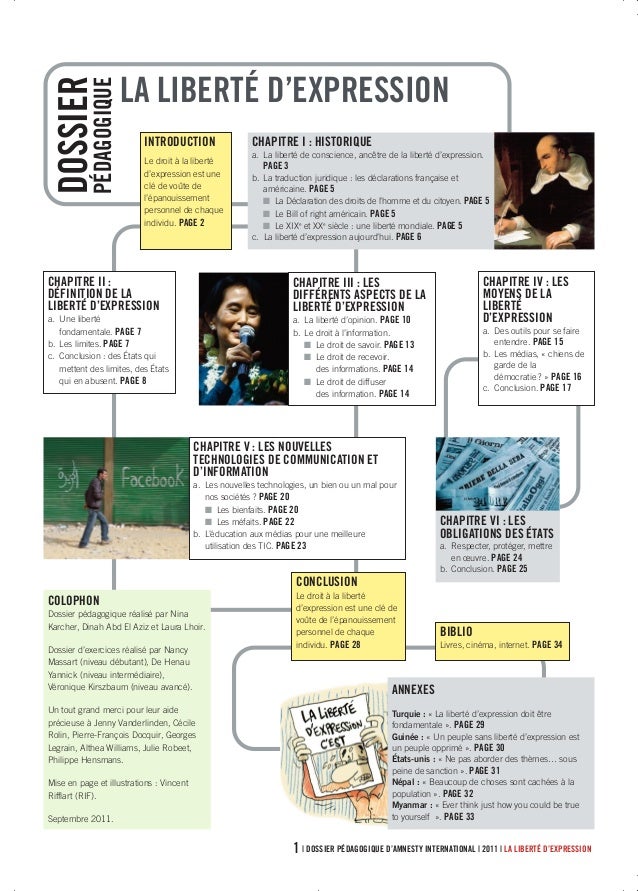 Differents Aspects De La Liberte D Expression