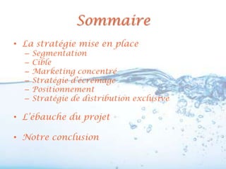 Sommaire
• La stratégie mise en place
  –   Segmentation
  –   Cible
  –   Marketing concentré
  –   Stratégie d’écrémage
  –   Positionnement
  –   Stratégie de distribution exclusive

• L’ébauche du projet

• Notre conclusion
 