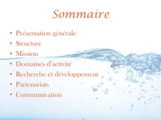 Sommaire
•   Présentation générale
•   Structure
•   Mission
•   Domaines d’activité
•   Recherche et développement
•   Partenariats
•   Communication
 