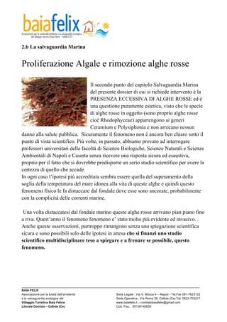  

2.b La salvaguardia Marina


Proliferazione Algale e rimozione alghe rosse

                                  Il secondo punto del capitolo Salvaguardia Marina
                                  del presente dossier di cui si richiede intervento è la
                                  PRESENZA ECCESSIVA DI ALGHE ROSSE ed è
                                  una questione puramente estetica, visto che le specie
                                  di alghe rosse in oggetto (sono proprio alghe rosse
                                  cioè Rhodophyceae) appartengono ai generi
                                  Ceramium e Polysiphonia e non arrecano nessun
danno alla salute pubblica. Sicuramente il fenomeno non è ancora ben chiaro sotto il
punto di vista scientifico. Più volte, in passato, abbiamo provato ad interrogare
professori universitari delle facoltà di Scienze Biologiche, Scienze Naturali e Scienze
Ambientali di Napoli e Caserta senza ricevere una risposta sicura ed esaustiva,
proprio per il fatto che si dovrebbe predisporre un serio studio scientifico per avere la
certezza di quello che accade.
In ogni caso l’ipotesi più accreditata sembra essere quella del superamento della
soglia della temperatura del mare idonea alla vita di queste alghe e quindi questo
fenomeno fisico le fa distaccare dal fondale dove esse sono ancorate, probabilmente
con la complicità delle correnti marine.

 Una volta distaccatesi dal fondale marino queste alghe rosse arrivano pian piano fino
a riva. Quest’anno il fenomeno fenomeno e’ stato molto più evidente ed invasivo. .
Anche queste osservazioni, purtroppo rimangono senza una spiegazione scientifica
sicura e sono possibili solo delle ipotesi in attesa che si finanzi uno studio
scientifico multidisciplinare teso a spiegare e a frenare se possibile, questo
fenomeno.




_________________________________________________________________________________________________________
BAIA FELIX
Associazione per la tutela dell’ambiente                Sede Legale : Via V. Mosca 4 – Napoli - Tel.Fax 081-7623132
e la salvaguardia ecologica del                         Sede Operativa : Via Roma 28, Cellole (Ce) Tel. 0823-703217
Villaggio Turistico Baia Felice                         www.baiafelix.it – comitatobaiafelix@gmail.com
Litorale Domizio - Cellole (Ce)                         Cod. Fisc. : 95136140639
 