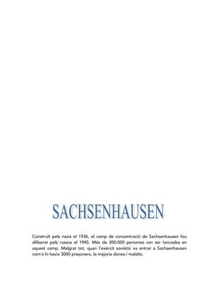 Construït pels nazis el 1936, el camp de concentració de Sachsenhausen fou
alliberat pels russos el 1945. Més de 200.000 persones van ser tancades en
aquest camp. Malgrat tot, quan l’exèrcit soviètic va entrar a Sachsenhausen
nom´s hi havia 3000 presoners, la majoria dones i malalts.
 