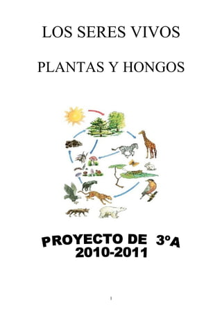 LOS SERES VIVOS

PLANTAS Y HONGOS




       1
 