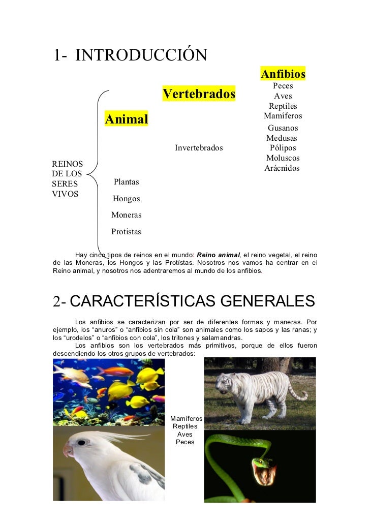 Cuando la larva llamada