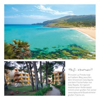 Tief einatmen!!!
Prinsotel La Pineda liegt
auf halbem Weg zwischen
dem Strand von Cala Agulla
und dem Fischerhafen von
Cala Rajada. Ein typisch
mediterraner Kiefernwald
nimmt einen großen Teil seiner
zwanzigtausend Quadratmeter
großen Fläche ein.
 