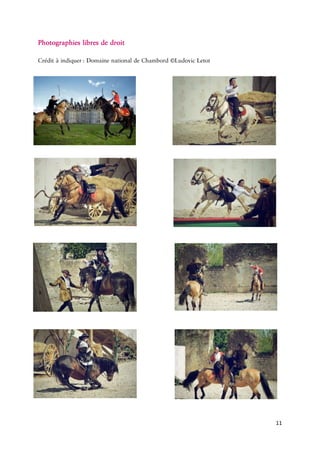 11 
Photographieslibresdedroit 
Crédità :DomainenationaldeChambord©Ludovic 
 