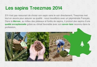 La qualité de nos sapins 
S’il n’est pas rassurant de choisir son sapin sans le voir directement, Treezmas met 
tout en oeuvre pour assurer sa qualité : nous travaillons avec un pépiniériste Français. 
Dans le Morvan, au milieu des plateaux et forêts de sapins, il produit des sapins d’une 
qualité exceptionnelle grâce au climat favorable avec son savoir-faire reconnu dans la 
profession.! 
 