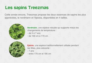 Les sapins Treezmas 
Cette année encore, Treezmas propose les deux essences de sapins les plus 
appréciées, le nordmann et l’épicéa, disponibles en 4 tailles.! 
Nordmann, une espèce robuste qui supporte mieux les 
changements de température : ! 
- de 5 à 7 ans ! 
- de 100 cm à 170 cm! 
Epicéa, une espèce traditionnellement utilisée pendant 
les fêtes, plus odorante : ! 
- 7 ans ! 
- entre 170 cm et 195 cm! 
 