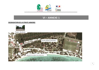 **********************************************************************************



                                                           VI – ANNEXE 1
DEGRADATION DE LA STRATE ARBOREE




       Trouée : Aire de jeu




                                                         Strate arborée clairsemée




                              Absence de rideau de protection




                                                                                                              8
 