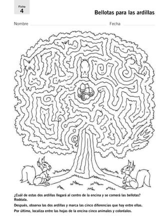 Ficha 
4 Bellotas para las ardillas 
Nombre Fecha 
¿Cuál de estas dos ardillas llegará al centro de la encina y se comerá las bellotas? 
Rodéala. 
Después, observa las dos ardillas y marca las cinco diferencias que hay entre ellas. 
Por último, localiza entre las hojas de la encina cinco animales y coloréalos. 
 