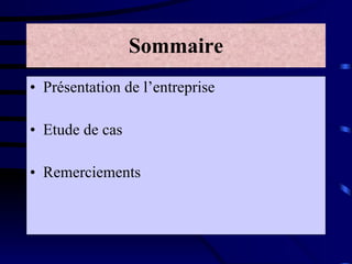 Sommaire Présentation de l’entreprise Etude de cas Remerciements 