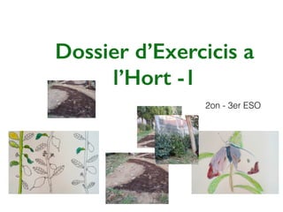Dossier d’Exercicis a
l’Hort -1
2on - 3er ESO
 