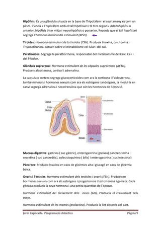 Jordi Capdevila. Programació didàctica Página 9
Hipòfisis: És una glàndula situada en la base de l’hipotàlem i el seu tamany és com un
pèsol. S’uneix a l’hipotàlem amb el tall hipofisiari i té tres regions. Adenohipòfisi o
anterior, hipòfisis Inter mitja i neurohipòfisis o posterior. Recorda que el tall hipofisiari
segrega l’hormona melaconita estimulant (MSH).
Tiroides: Hormona estimulant de la tiroides (TSH). Produeix tiroxina, calcitonina i
Triyodotironina. Actuen sobre el metabolisme cel·lular i del cali.
Paratiroides: Segrega la parathormona, responsable del metabolisme del Calci Ca+ i
del P fòsfor.
Glàndula suprarenal: Hormona estimulant de les càpsules suprarenals (ACTH).
Produeix aldosterona, cortisol i adrenalina.
La capsula o corteza segrega glucocorticoides com ara la cortisona i l’aldosterona,
també minerals i hormones sexuals com ara els estrògens i andrògens, la medul·la en
canvi segrega adrenalina i noradrenalina que són les hormones de l’emoció.
Mucosa digestiva: gastrina ( suc gàstric), enterogastrina (greixos) pancreozimina i
secretina ( suc pancreàtic), colecistoquinina ( bilis) i enterogastrina ( suc intestinal)
Pàncrees: Produeix Insulina en caos de glicèmies alta i glucagó en caos de glicèmia
baixa.
Ovaris i Testicles: Hormona estimulant dels testicles i ovaris (FSH). Produeixen
hormones sexuals com ara els estrògens i progesterona i testosterona i gamets. Cada
gònada produeix la seva hormona i una petita quantitat de l’oposat.
Hormona estimulant del creixement dels ossos (GH). Produeix el creixement dels
ossos.
Hormona estimulant de les mames (prolactina). Produeix la llet després del part.
 
