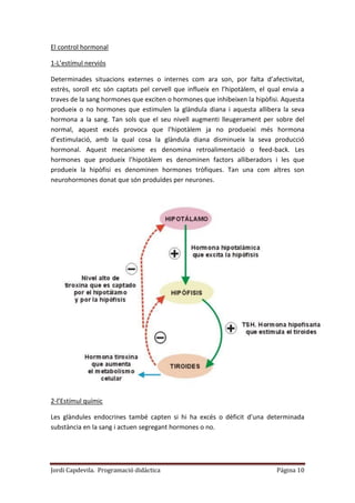 Jordi Capdevila. Programació didàctica Página 10
El control hormonal
1-L’estímul nerviós
Determinades situacions externes o internes com ara son, por falta d’afectivitat,
estrès, soroll etc són captats pel cervell que influeix en l’hipotàlem, el qual envia a
traves de la sang hormones que exciten o hormones que inhibeixen la hipòfisi. Aquesta
produeix o no hormones que estimulen la glàndula diana i aquesta allibera la seva
hormona a la sang. Tan sols que el seu nivell augmenti lleugerament per sobre del
normal, aquest excés provoca que l’hipotàlem ja no produeixi més hormona
d’estimulació, amb la qual cosa la glàndula diana disminueix la seva producció
hormonal. Aquest mecanisme es denomina retroalimentació o feed-back. Les
hormones que produeix l’hipotàlem es denominen factors alliberadors i les que
produeix la hipòfisi es denominen hormones tròfiques. Tan una com altres son
neurohormones donat que són produïdes per neurones.
2-l’Estímul químic
Les glàndules endocrines també capten si hi ha excés o dèficit d’una determinada
substància en la sang i actuen segregant hormones o no.
 