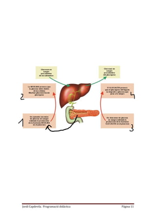 Jordi Capdevila. Programació didàctica Página 11
 