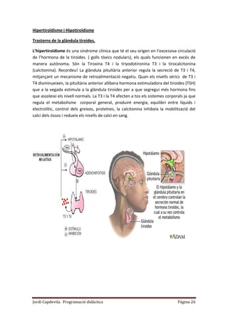 Jordi Capdevila. Programació didàctica Página 26
Hipertiroïdisme i Hipotiroïdisme
Trastorns de la glàndula tiroides.
L’hipertiroïdisme és una síndrome clínica que té el seu origen en l’excessiva circulació
de l’hormona de la tiroides. ( golls tòxics nodulars), els quals funcionen en excés de
manera autònoma. Són la Tiroxina T4 i la triyodotironina T3 i la tirocalcitonina
(calcitonina). Recordeu! La glàndula pituïtària anterior regula la secreció de T3 i T4,
mitjançant un mecanisme de retroalimentació negatiu. Quan els nivells sèrics de T3 i
T4 disminueixen, la pituïtària anterior allibera hormona estimuladora del tiroides (TSH)
que a la vegada estimula a la glàndula tiroides per a que segregui més hormona fins
que assoleixi els nivell normals. La T3 i la T4 afecten a tos els sistemes corporals ja que
regula el metabolisme corporal general, produint energia, equilibri entre líquids i
electrolític, control dels greixos, proteïnes, la calcitonina inhibeix la mobilització del
calci dels óssos i redueix els nivells de calci en sang.
 