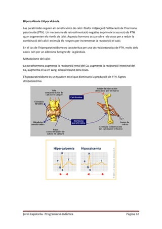 Jordi Capdevila. Programació didàctica Página 32
Hipercalièmia i Hipocalcèmia.
Las paratiroides regulen els nivells sèrics de calci i fòsfor mitjançant l’alliberació de l’hormona
paratiroide (PTH). Un mecanisme de retroalimentació negativa suprimeix la secreció de PTH
quan augmenten els nivells de calci. Aquesta hormona actua sobre els ossos per a reduir la
combinació del calci i estimula els ronyons per incrementar la reabsorció el calci.
En el cas de l’hiperparatiroïdisme es caracteritza per una secreció excessiva de PTH, molts dels
casos són per un adenoma benigne de la glàndula.
Metabolisme del calci:
La parathormona augmenta la reabsorció renal del Ca, augmenta la reabsorció intestinal del
Ca, augmenta el Ca en sang, descalcificació dels ossos.
L’hipoparatiroïdisme és un trastorn en el que disminueix la producció de PTH. Signes
d’hipocalcèmia
 