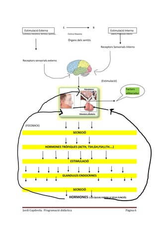 Jordi Capdevila. Programació didàctica Página 6
E R
Lumínica, mecànica, tèrmica, química... Estimul-Reposta (idem) Processos interns
Òrgans dels sentits
Receptors Sensorials Interns
Receptors sensorials externs
(Estimulació)
(FEEDBACK)
SECRECIÓ
HORMONES TRÒFIQUES (ACTH, TSH,GH,FSH,LTH....)
ESTIMULACIÓ
GLANDULES ENDOCRINES
SECRECIÓ
HORMONES ( LES QULAS FARAN LA SEVA FUNCIÓ)
Estimulació Externa Estimulació Interna
Factors
alliberador
sotrsors
 
