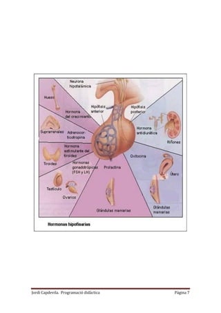 Jordi Capdevila. Programació didàctica Página 7
 