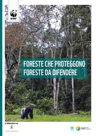 ©naturepl.com/AnupShah/WWF
FORESTECHEPROTEGGONO 	
FORESTEDADIFENDERE
Incollaborazionecon:
 