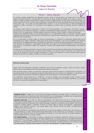 EEEnnn PPPllleeennnaaasss FFFaaacccuuullltttaaadddeeesss
DDDooossssssiiieeerrr dddeee FFFooorrrmmmaaaccciiióóónnn
33
“Setas”, “Setas mágicas”
Los hongos pueden presentarse de diferentes formas, como el hongo fresco, el hongo seco o las esporas.
Todos los hongos presentan un porcentaje muy elevado de agua, rondando el 90%, por lo que el consumo, si se
desea conseguir los efectos psicotrópicos, debe ser secado y deshidratado. De esta forma se elimina el agua y se
queda la sustancia activa, en este caso la psilocibina y la psilocina. Las dosis recomendadas no son altas; para este
hongo entre 1 gr. y 3 gr. sería una dosis media baja y entre 5 y 7 gr. es una dosis alta. Las setas alucinógenas se
consumen crudas, se cocinan, se convierten en una bebida o se secan para su posterior consumo. También se
fuman.
Los efectos varían desde la excitación y euforia, con dosis pequeñas, a las distorsiones de formas, colores y
alucinaciones, con consumos mayores. A menudo el consumidor se siente disociado, como si estuviera mirando la
situación que vive desde fuera. También pueden producirse náuseas, vómitos, diarrea y dolores estomacales.
Puede que la experiencia lleve a una euforia excesiva o a un aplanamiento físico no buscado. También puede
presentar dolor de cabeza al día siguiente o dificultad de conciliar el sueño después del consumo, debido al efecto
estimulante de la psilocibina.
Son muy frecuentes los "Malos Viajes" de retornos impredecibles. La tolerancia se desarrolla rápidamente. Se ha
investigado poco sobre los efectos a largo plazo de las setas alucinógenas, y son en la actualidad unas perfectas
desconocidas. Un peligro adicional lo constituye la recolección y consumo de setas venenosas por equivocación.
Si se produce una sobredosis o sobreingesta de este tipo de hongos lo más recomendable es ir al centro de salud
más cercano. Tu toxicidad no llega a ser venenosa ni mortal, pero puede producir sobreexcitación, nerviosismo e
irritabilidad.
También se recomienda consumirlo, como en todas las sustancias que producen alteraciones de la percepción y de
la conciencia, acompañado por una persona de confianza, y en muchos casos es necesario una introducción al
tema de los hongos por parte de algún entendido o un libro, para habituar la mente, porque puede producir
ataques de pánico al no poder controlar lo que está sucediendo.
(Psilocybe semilanceata)
Existen cerca de 20 especies, pequeñas y terrestres, que crecen en brezales y prados, incluso en ramitas y aserrín.
Algunas de sus características son: de sombrero, pie, láminas y espórada.
Este alcaloide fúngico posee una estructura molecular prácticamente idéntica al neurotransmisor serotonina. Los
neurotransmisores son los encargados de llevar la información de una neurona a la siguiente. La serotonina es la
responsable de la percepción sensorial, la regulación de la temperatura y el inicio del reposo nocturno.
Fue sintetizada químicamente por A. Hoffmann, -el mismo científico que descubriera el LSD, aunque ya era
conocido en la América precolombina y en Méjico, antes de la llegada de los primeros españoles. Los mayas lo
llamaban Teonanacátl que significaba hongo sagrado.
MORNING GLORY. El Ololihuqui es una droga alucinógena obtenida de semillas negras y marrones de una
planta conocida como "Manto de Cielo", que crece en Centro y Sudamérica. Contiene cinco componentes,
todos estrechamente relacionados entre sí, con propiedades similares al L.S.D.
AMANITA MUSCARIA. Es la seta con efectos alucinógenos más habitual. Se trata de un hongo con gran
trascendencia antropológica, ya que es considerado como una de las sustancias alteradoras del sentido de
la realidad usada por chamanes como medio para lograr el éxtasis y el contacto con los espíritus. Este hongo
produce un delirio agresivo y temerario. Produce, en primer lugar un estado de excitación y desbordante
alegría, fuerte ejercicio muscular, que puede llegar hasta ataques furiosos de delirio. Inmediatamente
comienzan las alucinaciones.
STP. El STP (Serenidad, Tranquilidad, Paz) apareció en la escena psicodélica a finales de los años sesenta, en
cápsulas blancas y azules. Químicamente está relacionado con la anfetamina y la mescalina y sus efectos
pueden durar hasta 24 horas. Es más probable que resulte un "mal viaje" del STP. Su nombre químico es
dimetoximetanfetamina, acortado a DOM.
PCP (FENCICLIDINA). La fenciclidina se fabrica y emplea como anestésico veterinario. Tomado por los seres
humanos tiene un efecto alucinógeno. Se fabrica ilegalmente y es conocido por los consumidores de drogas
como "PCP", "Polvo de Ángel" y "Píldora de la Paz". El consumidor de PCP experimenta un estado de trance o
hipnótico, con sensaciones de falta de peso, separación del cuerpo, tamaño disminuido y una distorsión total
de la percepción. También puede producir sensaciones de estimulación y fortaleza irresistible.
P
S
I
L
O
C
I
B
I
N
A
H
O
N
G
O
S
O
T
R
O
S
H
O
N
G
O
S
A
L
U
C
I
N
Ó
G
E
N
O
S
 