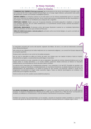 EEEnnn PPPllleeennnaaasss FFFaaacccuuullltttaaadddeeesss
DDDooossssssiiieeerrr dddeee FFFooorrrmmmaaaccciiióóónnn
34
CORNEZUELO DEL CENTENO (Claviceps purpurea). Lo nombraremos el rey de los alucinógenos naturales, pues
es la base del LSD. Este hongo también llamado Ergot, es un hongo negro-violáceo, que parasita toda suerte
de gramíceas y posee una inusitada complejidad química.
AMANITA AUREOLA. La Amanita aureola es una seta tóxica con las mismas propiedades que la A. muscaria,
que como indicamos es pariente cercano. No es mortal, pero provoca intoxicaciones de tipo neurotrópico y
alucinógeno. Sus síntomas se manifiestan poco después de su ingestión.
STROPHARIA CUBENSIS. Existen cerca de 15 especies terrestres, de tamaño pequeño o mediano, a menudo
con sombrero glutinoso. Pie con anillo membranoso o un prominente cinturón anular. Láminas escotadas o
adnatas. Espórada negra.
STROPHARIA SEMIGLOBATA. El principio activo del hongo Stropharia cubensis es un alcaloide triptamínico
llamado psilocibina, el mismo que contiene el Psilocybe.
OREJA DE JUDAS (Auricularia o Auricula judas). Su principio activo es el ácido lisérgico, lo que la convierte en
un potente alucinógeno.
La mescalina procede del cactus del peyote, originario de Méjico. Se seca y se corta en rebanadas conocidas
como "Brotes de Mescal".
Esta sustancia era utilizada por los indios mejicanos en sus ceremonias religiosas, y se conoció en Europa después de
la conquista española.
El abuso de la mescalina no es común en los países europeos.
Hoy en día la mescalina se refina en forma de polvo de colores que van desde el blanco hasta el marrón.
Normalmente se ingiere y ocasionalmente podría llegar a inyectarse.
Su estructura química es, pues, parecida a la de la adrenalina. Recuerda las aminas simpatomiméticas por sus tres
metoxi sobre un núcleo bencénico y un núcleo indólico potencial. Desde entonces se fabrica la mescalina
sintéticamente, encontrándose en forma de polvo blanco (sulfato).
Los efectos de la mescalina son notablemente potentes y muy parecidos a los del LSD. El sentido se agudiza y las
impresiones visuales se intensifican considerablemente, la voluntad se transforma, se pierde interés por las cosas, hay
desdoblamiento de personalidad y la mente se divide en dos mundos. Se producen visiones a través de la
imaginación inconsciente sin ningún orden asociativo lógico. Todos sus efectos alucinógenos son similares a los
producidos por la ingestión de peyote.
Como ocurre con el L.S.D. puede causar problemas psíquicos.
Las plantas alucinógenas solanaceas psicoactivas han jugado un papel importante dentro de la cultura popular
europea. Ya desde la antigüedad era utilizado por los celtas, que las usaban en su “Filtro de Circe” (compuesto por
el beleño, la belladona y el estramonio), o por los druidas y hechiceras en sus pociones "mágicas".
También han estado muy emparentadas con la brujería y durante la Inquisición estaba prohibido su consumo. Tal
vez este alto grado de difusión este motivado por la germinación de estas plantas en cualquier lugar y clima.
M
E
S
C
A
L
I
N
A
O
T
R
O
S
H
O
N
G
O
S
A
L
U
C
P
L
A
N
T
A
S
 