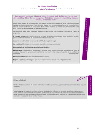 EEEnnn PPPllleeennnaaasss FFFaaacccuuullltttaaadddeeesss
DDDooossssssiiieeerrr dddeee FFFooorrrmmmaaaccciiióóónnn
35
(Atropa belladona)
Planta solanácea, dotada de acción calmante, narcótica y venenosa, y de acción especial para dilatar la pupila
(midriasis).
Todas las partes de la planta contienen diversos alcaloides (los utilizados en farmacia se obtienen de las raíces y
hojas), entre los que dominan la hiosciamina, la atropina y la escopolamina. Durante las fases de elaboración, el
primer producto se descompone en atropina. Según la dosis puede llegar a ser mortal. Puede provocar muerte por
anestesia y paralización de los centros vitales.
B
E
L
L
A
D
O
N
A
Estramonio, datura, higuera loca, higuera del infierno, berenjena
del diablo, flor de la trompeta. América: chamico, gigantón, tapate,
ñongue, vuélvete loco.
Hierba de la familia de las solanáceas que rebasa a menudo el metro de altura, de hojas aovadas
agudas con los bordes sinuosos. Flores de color blanco con franjas violetas y forma de trompeta. Fruto:
cápsula ovoide recubierto de púas verdes. En su interior maduran las semillas con forma de riñón y de
color marrón oscuro. Desprende un olor desagradable.
Se utilizan las hojas, tallos y semillas pulverizadas en infusión principalmente. También en cremas y
ungüentos.
El Principio activo es la Hioscimina como principal alcaloide distribuido por toda la planta. También
posee cantidades menores de escopolamina, atropina y daturina.
La planta no está incluida en las listas de la ONU. Es una planta legal.
Uso tradicional: Embriagante, chamánico, fines adivinatorios y medicinales.
Efectos psíquicos: Alucinaciones, ensoñaciones, hipnótico.
Efectos físicos: Antiasmático, antitusígeno, espasmo lítico, provoca estupor, sequedad de boca y
mucosas, alteraciones generales sobre el Sistema Nervioso Central: bloqueo la acción de la acetilcolina
(transmisor neuromuscular).
Efectos secundarios: Náuseas, sequedad de boca, sopor.
Peligros: Soporífero y alucinógeno que causa intoxicaciones violentas con peligro de muerte.
D
A
R
U
R
A
E
S
T
R
A
M
O
N
I
U
M
 
