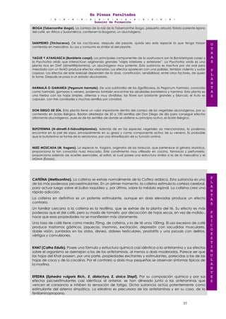 EEEnnn PPPllleeennnaaasss FFFaaacccuuullltttaaadddeeesss
DDDooossssssiiieeerrr dddeee FFFooorrrmmmaaaccciiióóónnn
37
IBOGA (Tabernanthe iboga). La corteza de la raíz de la Tabernanthe iboga, pequeño arbusto florido pariente lejano
del café, en África y Sudamérica, contienen la ibogaina, un alucinógeno.
SAMPEDRO (Trichocerus). De las cactáceas, después del peyote, quizás sea esta especie la que tenga mayor
contenido en mescalina. Su uso y consumo es similar al del peyote.
YAGUE Y AYAHUASCA (Banisteria caapi). Los principales componentes de la ayahuasca son la Banisteriopsis caapi y
la Psychotria viridis que interactúan originando grandes "viajes interiores y exteriores”. La Psychotria viridis es una
planta rica en DMT (dimetiltriptamina), un alucinógeno muy potente. Esta sustancia es inactiva por vía oral pero
mezclada con un IMAO produce efectos visionarios. Los efectos aparecen con una palidez, temblor violento y sudor
copioso. Los efectos de este brebaje dependen de la dosis, constitución, sensibilidad, entre otros factores, de quien
lo tome. Después se pasa a un estado alucinatorio.
HARMALÁ O GAMARZA (Peganum harmala). De una subfamilia de las Zigofilaceas, la Peganum harmala, conocida
como harmalá, gamarza o venera, podemos también encontrar los alcaloides banisterina y harmina. Esta planta es
una hierba con las hojas simples, alternas y muy divididas; las flores son bastante grandes y blancas; el fruto es
capsular, con tres cavidades y muchas semillas por cavidad.
DON DIEGO DE DÍA. Esta planta tiene un valor importante dentro del campo de los vegetales alucinógenos, por su
contenido en ácido lisérgico. Bastan alrededor de 50 a 100 semillas del Don Diego de día para conseguir efectos
altamente alucinógenos, pues es de las semillas de donde se obtiene su principio activo, el ácido lisérgico.
BUFOTENINA (N-dimetil-5-hidroxitriptamina). Además de en las especies vegetales ya mencionadas, la podemos
encontrar en la piel de sapo, principalmente en su grasa y como componente activo de su veneno. Es probable
que la bufotenina se forme de la serotonina, por una dimetilación de su función amina.
NUEZ MOSCADA (M. fragans). La especie M. fragans, originaria de las Molucas, que pertenece al género Myristica,
proporciona la tan conocida nuez moscada. Este condimento muy utilizado en cocina, farmacia y perfumería,
proporciona además de aceites esenciales, el safrol, el cual posee una estructura similar a la de la mescalina y el
MDMA (Éxtasis).
CAFEÍNA (Metilxantina). La cafeína se extrae normalmente de la Coffea arábica. Esta sustancia es uno
de los más poderosos psicoestimulantes. En un primer momento, la cafeína estimula la corteza cerebral,
para actuar luego sobre el bulbo raquídeo y, por último, sobre la médula espinal. La cafeína crea una
rápida adicción.
La cafeína en definitiva es un potente estimulante, aunque en dosis elevadas produce un efecto
contrario.
Un familiar cercano a la cafeína es la teofilina, que se extrae de la planta del té. Su efecto es más
poderoso que el del café, pero su modo de tomarlo -por decocción de hojas secas, en vez de molido-,
hace que esas propiedades no se manifiesten más claramente.
Una taza de café tiene como media 70mg. de cafeína, y la de té unos 100mg. El uso excesivo de café
produce trastornos gástricos, jaquecas, insomnio, excitación, depresión con sacudidas musculares,
doble visión, zumbidos en los oídos, disnea, dolores testiculares, prostatitis y una psicosis con delirios,
vértigos y convulsiones.
KHAT (Catha Edulis). Posee una fórmula y estructura química casi idéntica a la anfetamina y sus efectos
sobre el organismo se asemejan a los de las anfetaminas, al menos a dosis moderadas. Parece ser que
las hojas del Khat poseen, por una parte, propiedades excitantes y estimulantes, parecidas a las de las
hojas de coca y de la cocaína. Por el contrario a dosis muy pequeñas se observan síntomas típicos de
la morfina.
EFEDRA (Ephedra vulgaris Rich., E. distachya, E. sinica Stapf). Por su composición química y por sus
efectos psicoestimulantes casi idénticos al anterior, se han alineado junto a las anfetaminas que
vencen el cansancio e inhiben la sensación de fatiga. Dicha sustancia actúa potentemente como
estimulante del sistema simpático. La efedrina es precursora de las anfetaminas y en su caso, de la
fenilaminopropano.
P
L
A
N
T
A
S
P
S
I
C
O
E
S
T
I
M
U
L
A
N
T
E
S
O
T
R
A
S
P
L
A
N
T
A
S
 