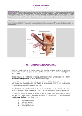 EEEnnn PPPllleeennnaaasss FFFaaacccuuullltttaaadddeeesss
DDDooossssssiiieeerrr dddeee FFFooorrrmmmaaaccciiióóónnn
76
3.3. LA RESPUESTA SEXUAL HUMANA.
Tanto el hombre como la mujer, pasan por distintas etapas durante su respuesta
sexual, etapas en las que se producirán una serie de cambios fisiológicos y
emocionales.
Desde el punto de vista físico, éstas se pueden clasificar en función de si son cambios
genitales o extragenitales, es decir, del resto del cuerpo.
Los cambios o respuestas más psicológicas, son más difíciles de clasificar en tanto que
son vividas de forma personal por cada ser humano en base a sus experiencias,
vivencias y aprendizajes a lo largo de la vida.
Curiosamente y muy al contrario de lo que se piensa tanto en el hombre como en la
mujer, ambas respuestas se parecen, compartiendo más semejanzas que diferencias.
La respuesta sexual humana se divide en tres o cuatro fases dependiendo de los
autores a los cuales se haga referencia. La clasificación más conocida es la realizada
por Master y Jonhson, que diferencian:
1. Fase de excitación
2. Fase de meseta.
3. Fase de orgasmo.
4. Fase de resolución.
GLÁNDULAS DE COWPER
Son dos pequeñas formaciones que se encuentran situadas a los lados de la uretra por debajo de la próstata que también contribuyen con
el líquido seminal. Cuando el orgasmo es inminente, estas glándulas se contraen y vierten un líquido en la uretra prostática, que sale al
exterior inmediatamente antes de la salida de la eyaculación facilitando la penetración. Este líquido por sí solo no contiene
espermatozoides, pero al recorrer su camino para salir al exterior puede arrastrar consigo espermatozoides de eyaculaciones anteriores y
pueden producir un embarazo. En la mayoría de los hombres la secreción es escasa pero, en algunos es más abundante.
URETRA
Es un largo conducto que constituye una vía común con el aparato urinario. En el momento del orgasmo los conductos eyaculadores
vierten su contenido en la uretra el cual aumenta su paso por la próstata. Unas válvulas impiden que ese liquido se regrese a la vejiga y es
forzado al exterior.
 