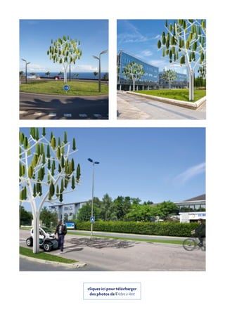 cliquez ici pour télécharger
des photos de l’Arbre à Vent
 