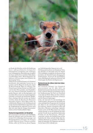am Rande des Röhrichts werden die Entdeckung 
dieses außergewöhnlichen biologischen 
Schutzgebietes ermöglichen. Das Anbringen 
einer pädagogischen Beschilderung bezüglich 
der Fauna und der Flora wird diese Maßnahmen 
vervollständigen. Diese „Wasserspiegelung“ des 
Schlosses wird einen ganz neuen Rahmen für 
Spaziergänge bieten. 
Zudem hat die staatliche Domäne von Chambord 
beschlossen, den englischen Garten neu zu 
gestalten und die Wege für die Besucher durch 
die Renovierung der Alleen zu verbessern. Der 
Verlauf basiert auf dem Verlauf von 1889. Er ist 
rund um drei Alleen gestaltet: zwei Hauptalleen 
mit einer offenen Landschaft, bestehend aus 
großen Bäumen oder aus Baumgruppen, und 
eine dritte Allee in einem neu zusammengesetzten 
Unterholz, am Rande des bestehenden Waldes. 
Diese schattigen Bereiche werden mit Bänken 
versehen, damit die Besucher das Monument 
bewundern können. Diese Wege stellen die 
verbleibenden Pflanzen in den Vordergrund und 
werden durch Landschaftsbeete angereichert. Auf 
die Neugestaltung des englischen Gartens wird 
über kurz oder lang das Anlegen französischer 
Gärten auf der Nordrasenfläche folgen. 
Restaurierungsarbeiten am Bergfried 
Der Laternenturm, der höchste und sinnbildliche 
Punkt des Schlosses, wird von Dezember 2013 
bis Juni 2014 vollständigen Restaurierungs- und 
Reinigungsarbeiten unterzogen. Die Terrassen 
werden während dieser Arbeiten geöffnet 
bleiben, außer ein Teil davon, dessen Zugang 
aus Sicherheitsgründen begrenzt sein wird. 
Die Restaurationsarbeiten am Dieudonné-Turm, 
die ebenfalls von Dezember 2013 bis August 
2014 stattfinden, ermöglichen die Restaurierung 
der Dekors der Turmoberbauten: Reinigung der 
Verkleidungen, Austausch der beschädigten 
Steine, Befestigung der gehauenen Elemente und 
Schutz gegen das Rinnen des Regenwassers. 
Restaurierung der Alleen dank des Colas- 
Mäzenatentums 
Die staatliche Domäne von Chambord 
unterzeichnete am 21. Mai 2013 ein 
Kompetenzmäzenatentum mit dem Unternehmen 
Colas, weltweit führend im Straßenbau und in 
der Straßenwartung. Der Park von Chambord 
weist mehr als 304 km Alleen auf. Diese Arbeiten 
werden den Empfang der Besucher verbessern 
und ihr Flanieren begünstigen. 
Colas, der Spezialist für die Gestaltung von 
Außenanlagen, übernimmt die Durchführung 
eines umfangreichen Programms der Gestaltung 
der Alleen in der unmittelbaren Umgebung 
des Schlosses: Südseite (königliche Allee und 
Querallee), Westseite (zukünftiger englischer 
Garten) sowie auf der Place Saint Louis. Colas, 
welcher besorgt ist um die Erhaltung des Erbes 
und der Umwelt, hat ein spezifisches ästhetisches 
Produkt mit der Bezeichnung „Héliocol“ 
entwickelt, welches die Stabilisierung und die 
Sauberkeit der Alleen aufrecht erhält, ohne ihre 
erblichen Merkmale zu verändern. Die Arbeiten 
haben im September 2013 begonnen und werden 
für die Saison 2014 vollendet sein. 
© DNC 
PRESSEMAPPE - STAATLICHE DOMÄNE VON CHAMBORD15 
 