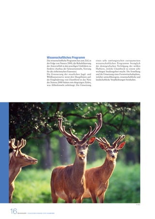 Wissenschaftliches Programm 
Das wissenschaftliche Programm hat zum Ziel, in 
der Folge von Natura 2000, die Rehabilitierung 
der Artenvielfalt in den jeweiligen Umfeldern zu 
fördern (Ausbau der Seneszenzinseln, Vorrang 
für die einheimischen Essenzen). 
Die Erneuerung der staatlichen Jagd- und 
Wildfaunareserve weist drei Hauptlinien auf: 
die Eingliederung von Chambord in das Netz 
der Natura 2000 Stätten mit ehrgeizigen Zielen, 
was Altholzinseln anbelangt. Die Umsetzung 
eines sehr umfangreichen europaweiten 
wissenschaftlichen Programms bezüglich 
der demografischen Verfolgung der wilden 
Huftiere, welche Chambord zu einem sehr 
wichtigen Studiengebiet macht. Die Erstellung 
und die Umsetzung eines Forstwirtschaftsplans, 
welcher umweltbezogene, wissenschaftliche und 
landschaftliche Verpflichtungen beinhaltet. 
16 PRESSEMAPPE - STAATLICHE DOMÄNE VON CHAMBORD 
© DNC 
 