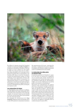 Par ailleurs, le domaine national de Chambord
a décidé de réaménager le jardin à l’anglaise et
d’améliorer le cheminement du public en rénovant
les allées. Le tracé s’appuie sur celui réalisé
en 1889. Il est dessiné autour de trois allées :
deux allées principales avec un paysage ouvert,
ponctué de grands arbres ou de bosquets et une
troisième allée dans un sous-bois recomposé,
en lisière du massif forestier existant. Ces zones
ombragées seront agrémentées de bancs aﬁn
que le public puisse admirer le monument. Ces
cheminements mettent en valeur les végétaux
subsistants et s’enrichissent de massifs paysagers.
L’aménagement du jardin à l’anglaise sera suivi à
terme par l’aménagement de jardins à la française
sur le parterre nord.
Les restaurations du donjon
La Tour Lanterne, point culminant et embléma-
tique du château, fait l’objet, de décembre 2013
à juin 2014, d’une restauration et d’un nettoyage
complets. Les terrasses restent ouvertes durant
les travaux, sauf une partie dont l’accès est limité
pour des raisons de sécurité.
La campagne de restauration de la Tour
Dieudonné, également menée de décembre 2013
à août 2014, permet la restauration des décors
des superstructures de la tour : nettoyage des
parements, remplacement des pierres abîmées,
consolidation des éléments sculptés et protection
contre le ruissellement des eaux de pluie.
La restauration des allées grâce
au mécénat Colas
Le domaine national de Chambord a signé,
le 21 mai 2013, un mécénat de compétence
avec la société Colas, leader mondial de la
construction et de l’entretien des routes. Le parc
de Chambord compte plus de 304 kilomètres
d’allées. Ces travaux amélioreront l’accueil du
public et favoriseront sa déambulation.
Spécialiste de l’aménagement des espaces
extérieurs, Colas prend en charge la réalisation
d’un vaste programme d’aménagement des
allées aux abords du château : côté Sud (allée
royale et allée transversale), côté Ouest (futur
jardin anglais) ainsi que sur la place Saint Louis.
Soucieux de la préservation du patrimoine et de
l’environnement, Colas a mis au point un produit
spéciﬁque esthétique, baptisé «Héliocol», qui
conserve la stabilisation et la propreté des
allées sans altérer leur caractère patrimonial.
Les travaux ont débuté en septembre 2013 et
s’achèveront pour la saison 2014.
© DNC
DOSSIER DE PRESSE - DOMAINE NATIONAL DE CHAMBORD15
 