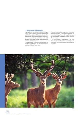 Le programme scientiﬁque
Le programme scientiﬁque vise à développer,
dans la suite de Natura 2000, la réhabilitation
de la biodiversité des milieux (extension des ilots
de sénescence, priorité aux essences indigènes).
La refondation de la réserve nationale de la
chasse et de la faune sauvage se décompose en
trois axes principaux :
L’intégration de Chambord dans le réseau des
sites Natura 2000 avec des objectifs ambitieux
en termes d’îlots de vieux bois.
La mise en œuvre d’un programme scientiﬁque
de grande ampleur, à vocation européenne, sur
les suivis démographiques des ongulés sauvages
qui positionnent Chambord comme territoire
d’étude majeur.
La rédaction et l’application d’un plan
d’aménagement forestier qui intègre les
contraintes environnementales, scientiﬁques et
paysagères.
16DOSSIER DE PRESSE - DOMAINE NATIONAL DE CHAMBORD
© DNC
 