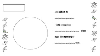 Està cobert de
.............................
Té els seus propis
.................................... i el seu
nucli està format per
.............................. fosa.

 