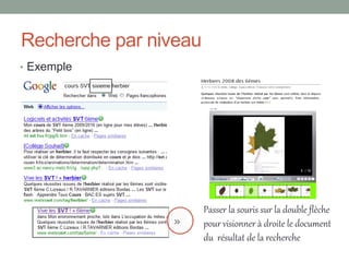 Recherche par niveau
• Exemple




                       Passer la souris sur la double flèche
                       pour visionner à droite le document
                       du résultat de la recherche
 