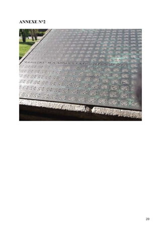 20
ANNEXE N°2
 