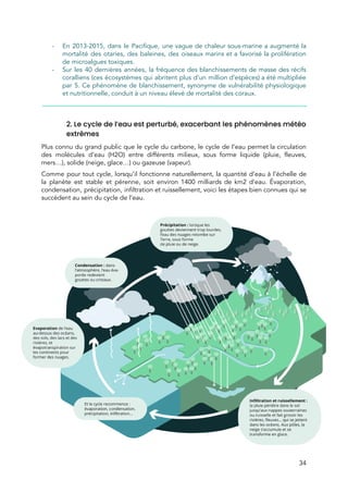  
- En 2013-2015, dans le Pacifique, une vague de chaleur sous-marine a augmenté la                         
mortalité des otaries, des baleines, des oiseaux marins et a favorisé la prolifération                         
de microalgues toxiques.  
- Sur les 40 dernières années, la fréquence des blanchissements de masse des récifs                         
coralliens (ces écosystèmes qui abritent plus d’un million d’espèces) a été multipliée                       
par 5. Ce phénomène de blanchissement, synonyme de vulnérabilité physiologique                   
et nutritionnelle, conduit à un niveau élevé de mortalité des coraux. 
 
 
2. Le cycle de l’eau est perturbé, exacerbant les phénomènes météo 
extrêmes 
Plus connu du grand public que le cycle du carbone, le cycle de l’eau permet la circulation                                 
des molécules d’eau (H2O) entre différents milieux, sous forme liquide (pluie, fleuves,                       
mers…), solide (neige, glace…) ou gazeuse (vapeur). 
Comme pour tout cycle, lorsqu’il fonctionne naturellement, la quantité d’eau à l’échelle de                         
la planète est stable et pérenne, soit environ 1400 milliards de km2 d’eau. Évaporation,                           
condensation, précipitation, infiltration et ruissellement, voici les étapes bien connues qui se                       
succèdent au sein du cycle de l’eau.  
 
 
34 
 