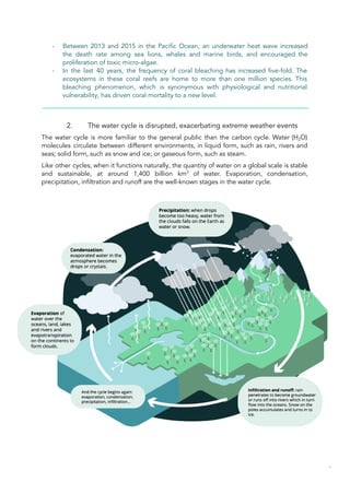 - Between 2013 and 2015 in the Pacific Ocean, an underwater heat wave increased
the death rate among sea lions, whales and marine birds, and encouraged the
proliferation of toxic micro-algae.
- In the last 40 years, the frequency of coral bleaching has increased five-fold. The
ecosystems in these coral reefs are home to more than one million species. This
bleaching phenomenon, which is synonymous with physiological and nutritional
vulnerability, has driven coral mortality to a new level.
2. The water cycle is disrupted, exacerbating extreme weather events
The water cycle is more familiar to the general public than the carbon cycle. Water (H2O)
molecules circulate between different environments, in liquid form, such as rain, rivers and
seas; solid form, such as snow and ice; or gaseous form, such as steam.
Like other cycles, when it functions naturally, the quantity of water on a global scale is stable
and sustainable, at around 1,400 billion km3
of water. Evaporation, condensation,
precipitation, infiltration and runoff are the well-known stages in the water cycle.
34
 