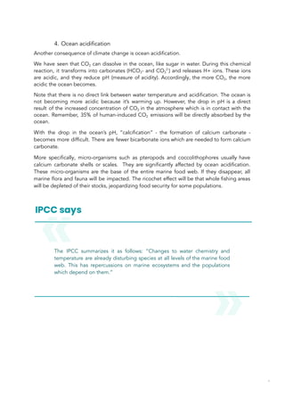 4. Ocean acidification
Another consequence of climate change is ocean acidification.
We have seen that CO2 can dissolve in the ocean, like sugar in water. During this chemical
reaction, it transforms into carbonates (HCO3- and CO3
2-
) and releases H+ ions. These ions
are acidic, and they reduce pH (measure of acidity). Accordingly, the more CO2, the more
acidic the ocean becomes.
Note that there is no direct link between water temperature and acidification. The ocean is
not becoming more acidic because it’s warming up. However, the drop in pH is a direct
result of the increased concentration of CO2 in the atmosphere which is in contact with the
ocean. Remember, 35% of human-induced CO2 emissions will be directly absorbed by the
ocean.
With the drop in the ocean’s pH, “calcification” - the formation of calcium carbonate -
becomes more difficult. There are fewer bicarbonate ions which are needed to form calcium
carbonate.
More specifically, micro-organisms such as pteropods and coccolithophores usually have
calcium carbonate shells or scales. They are significantly affected by ocean acidification.
These micro-organisms are the base of the entire marine food web. If they disappear, all
marine flora and fauna will be impacted. The ricochet effect will be that whole fishing areas
will be depleted of their stocks, jeopardizing food security for some populations.
The IPCC summarizes it as follows: “Changes to water chemistry and
temperature are already disturbing species at all levels of the marine food
web. This has repercussions on marine ecosystems and the populations
which depend on them.”
39
 