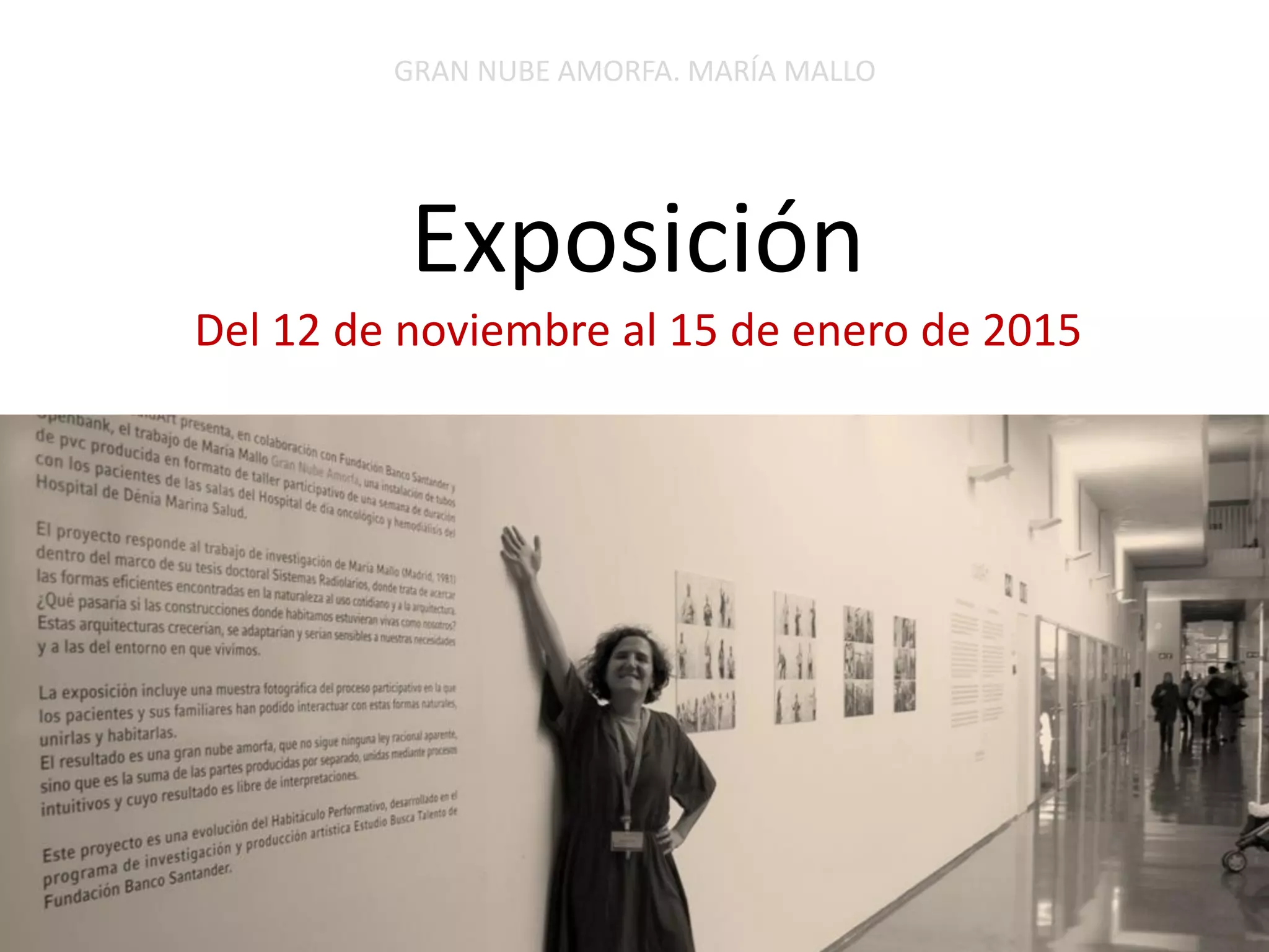Exposición Del 12 de noviembre al 15 de enero de 2015 
GRAN NUBE AMORFA. MARÍA MALLO  