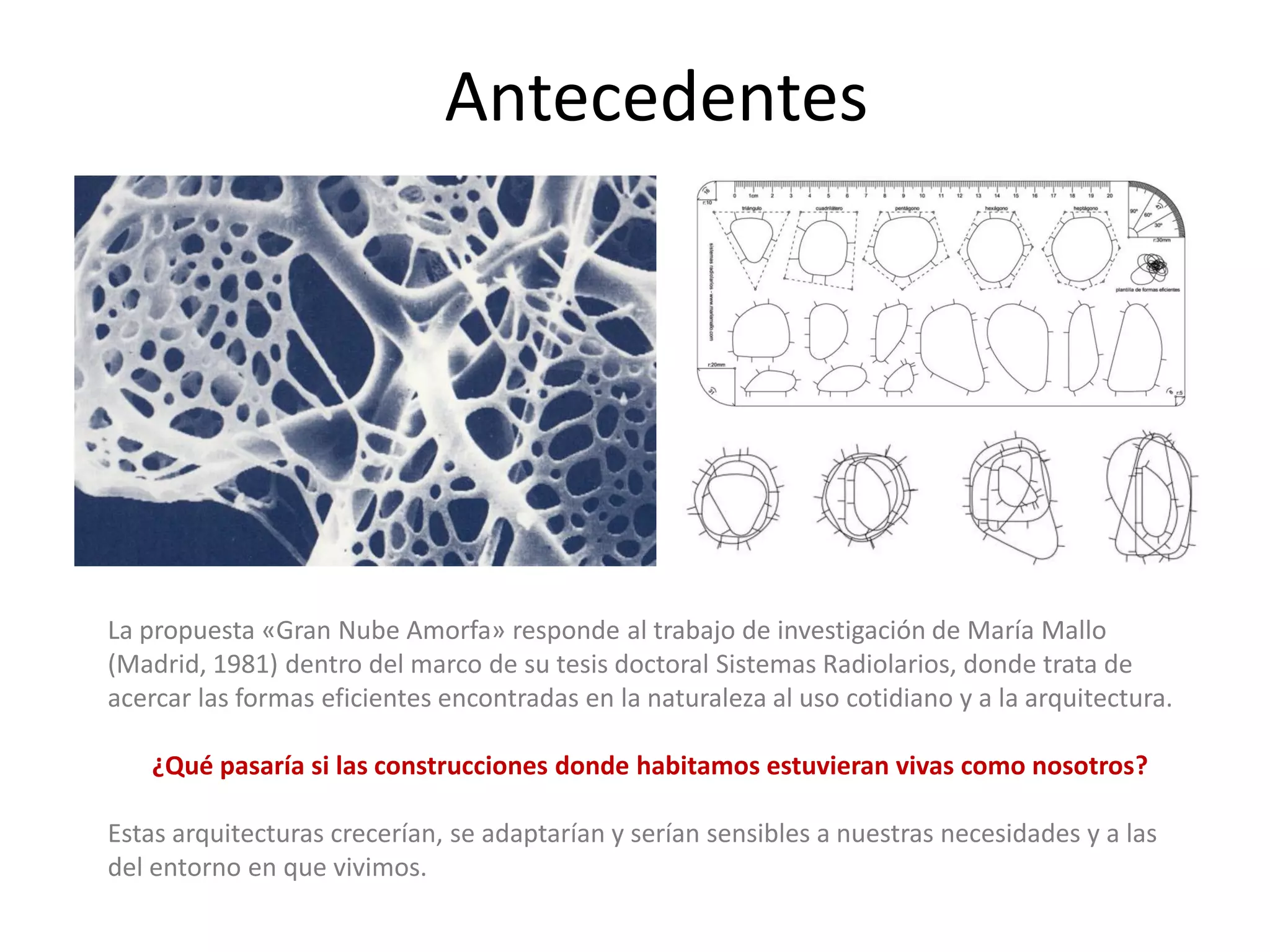 Antecedentes 
La propuesta «Gran Nube Amorfa» responde al trabajo de investigación de María Mallo (Madrid, 1981) dentro del marco de su tesis doctoral Sistemas Radiolarios, donde trata de acercar las formas eficientes encontradas en la naturaleza al uso cotidiano y a la arquitectura. 
¿Qué pasaría si las construcciones donde habitamos estuvieran vivas como nosotros? 
Estas arquitecturas crecerían, se adaptarían y serían sensibles a nuestras necesidades y a las del entorno en que vivimos.  
