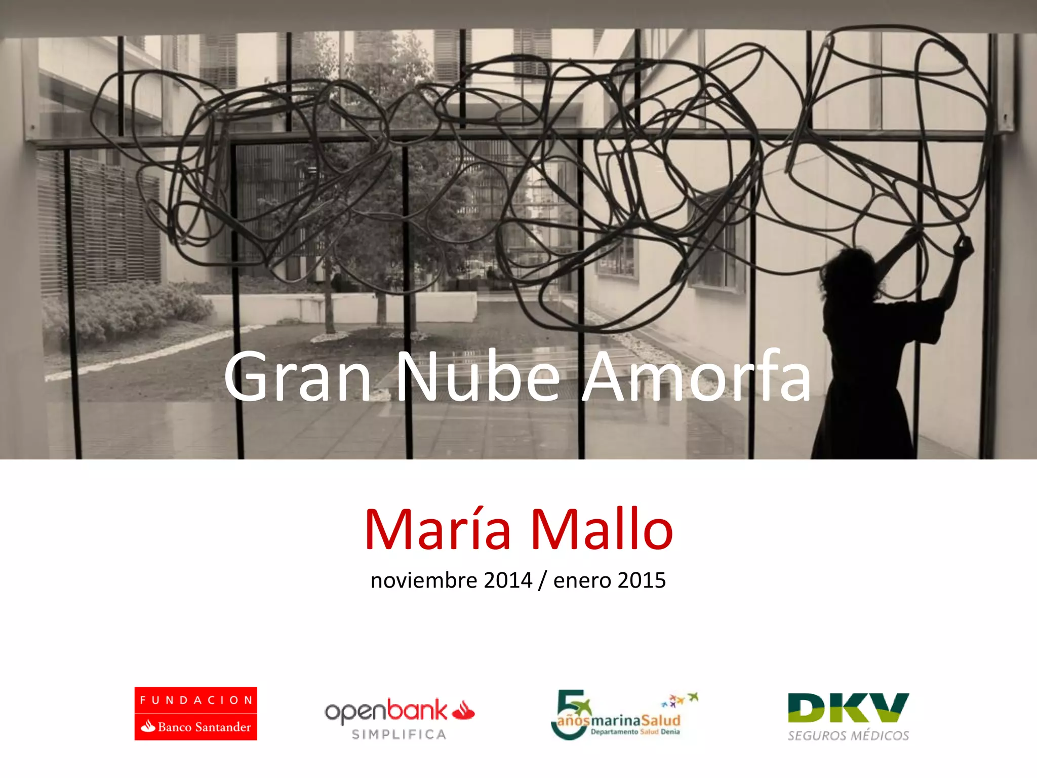 Gran Nube Amorfa 
María Mallo 
noviembre 2014 / enero 2015 