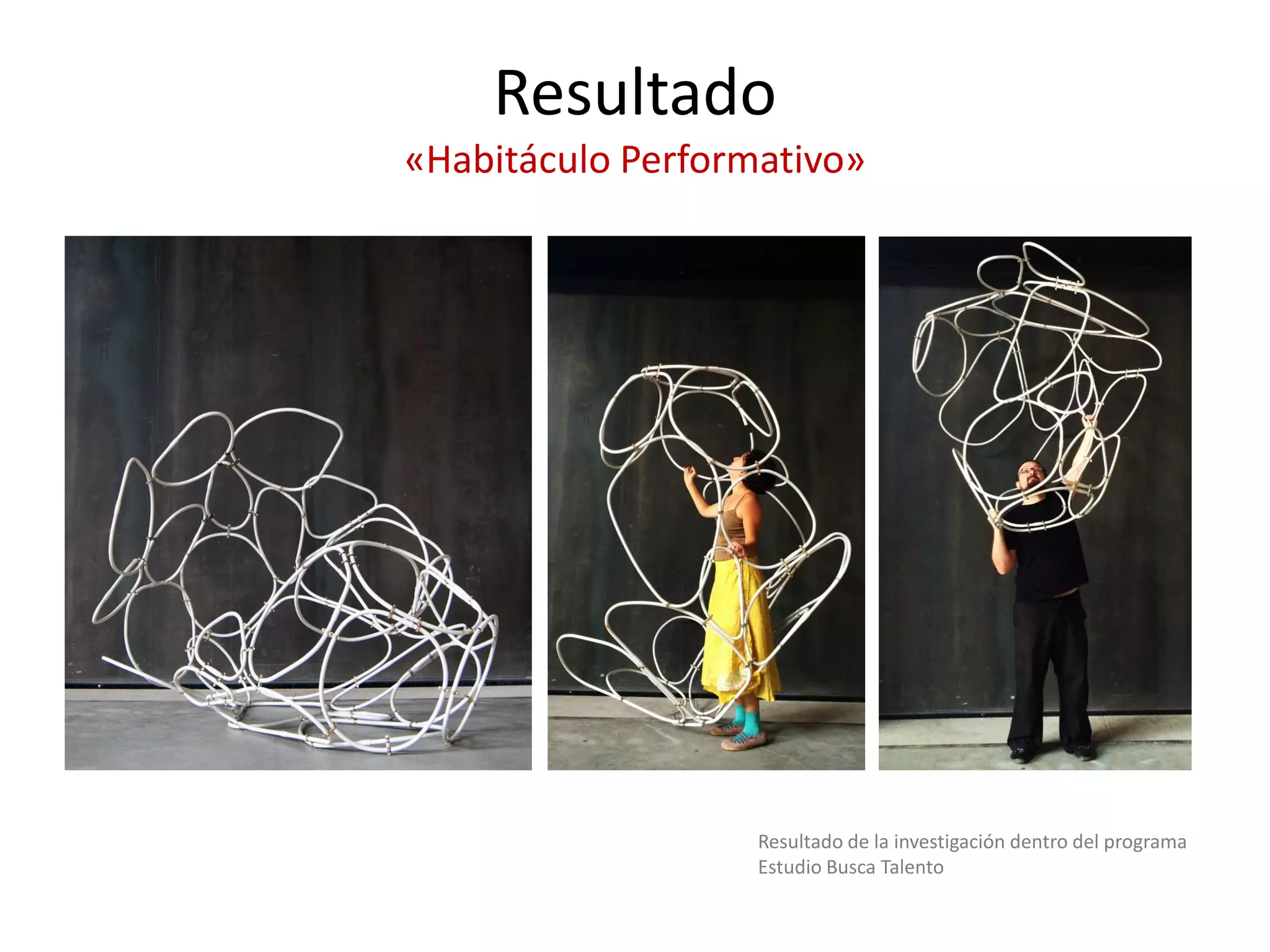 Resultado «Habitáculo Performativo» 
Resultado de la investigación dentro del programa Estudio Busca Talento  