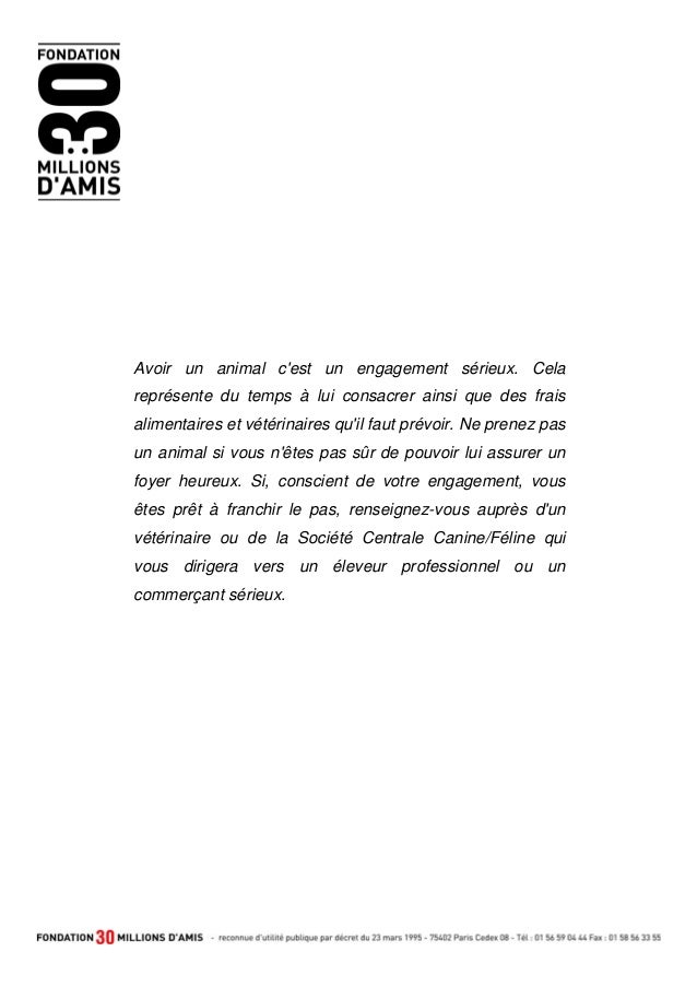 Exemple de conversation sur un site de rencontre