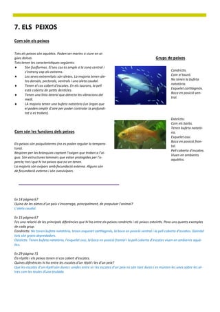 7. ELS PEIXOS
Com són els peixos

Tots els peixos són aquàtics. Poden ser marins o viure en ai-
gües dolces.                                                                                       Grups de peixos
Tots tenen les característiques següents:
      Són fusiformes. El seu cos és ample a la zona central i
       s’estreny cap als extrems.                                                                             Condrictis.
      Les seves extremitats són aletes. La majoria tenen ale-                                                Com el tauró.
       tes dorsals, pectorals, ventrals i una aleta caudal.                                                   No tenen la bufeta
      Tenen el cos cobert d’escates. En els taurons, la pell                                                 natatòria.
       està coberta de petits denticles.                                                                      Esquelet cartilaginós.
                                                                                                              Boca en posició ven-
      Tenen una línia lateral que detecta les vibracions del
                                                                                                              tral.
       medi.
      LA majoria tenen una bufeta natatòria (un òrgan que
       el poden omplir d’aire per poder controlar la profundi-
       tat o es troben).
                                                                                                              Osteïctis:
                                                                                                              Com els barbs.
                                                                                                              Tenen bufeta natatò-
Com són les funcions dels peixos                                                                              ria.
                                                                                                              Esquelet ossi.
                                                                                                              Boca en posició fron-
Els peixos són poiquiloterms (no es poden regular la tempera-
                                                                                                              tal.
tura).
                                                                                                              Pell coberta d’escates.
Respiren per les brànquies captant l’oxigen que troben a l’ai-
                                                                                                              Viuen en ambients
gua. Són estructures laminars que estan protegides per l’o-
                                                                                                              aquàtics.
percle; tot i que hi ha peixos que no en tenen.
La majoria són ovípars amb fecundació externa. Alguns són
de fecundació externa i són ovovivípars.




Ex 14 pàgina 67
Quina de les aletes d’un peix s’encarrega, principalment, de propulsar l’animal?
L’aleta caudal.

Ex 15 pàgina 67
Fes una relació de les principals diferències que hi ha entre els peixos condrictis i els peixos osteïctis. Posa uns quants exemples
de cada grup.
Condrictis: No tenen bufeta natatòria, tenen esquelet cartilaginós, la boca en posició ventral i la pell coberta d’escates. Gairebé
tots són grans depredadors.
Osteïctis: Tenen bufeta natatòria, l'esquelet ossi, la boca en posició frontal i la pell coberta d’escates viuen en ambients aquà-
tics.

Ex 29 pàgina 71
Els rèptils i els peixos tenen el cos cobert d’escates.
Quines diferències hi ha entre les escates d’un rèptil i les d’un peix?
Que les escates d’un rèptil són dures i unides entre si i les escates d’un peix no són tant dures i es munten les unes sobre les al-
tres com les teules d’una teulada.
 