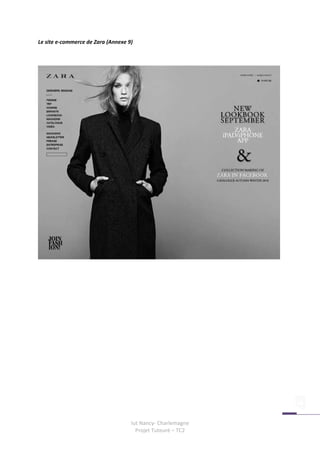 Le site e-commerce de Zara (Annexe 9)




                                    Iut Nancy- Charlemagne
                                      Projet Tuteuré – TC2
 
